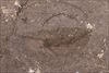 FileNo.215-326.jpg