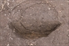 FileNo.215-327.jpg