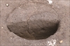 FileNo.215-329.jpg