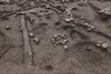 FileNo.215-330.jpg