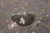 FileNo.215-331.jpg