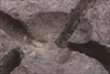 FileNo.215-332.jpg