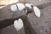 FileNo.215-333.jpg