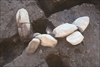FileNo.215-334.jpg