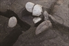 FileNo.215-335.jpg