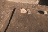 FileNo.215-336.jpg