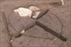 FileNo.215-337.jpg