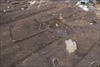 FileNo.215-339.jpg