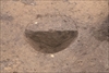 FileNo.215-343.jpg