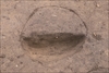 FileNo.215-344.jpg