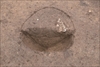 FileNo.215-345.jpg