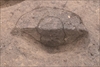FileNo.215-346.jpg