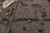 FileNo.215-351.jpg