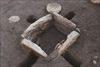 FileNo.215-357.jpg