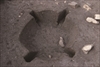 FileNo.215-358.jpg
