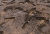 FileNo.215-363.jpg