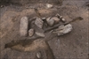 FileNo.215-364.jpg