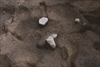 FileNo.215-366.jpg