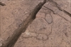 FileNo.215-372.jpg