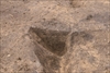 FileNo.215-378.jpg