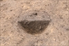 FileNo.215-380.jpg