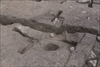 FileNo.215-382.jpg