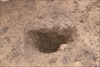 FileNo.215-383.jpg