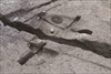 FileNo.215-385.jpg
