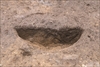 FileNo.215-387.jpg