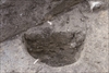 FileNo.215-390.jpg