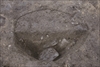 FileNo.215-391.jpg