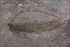 FileNo.215-392.jpg