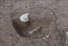 FileNo.215-393.jpg