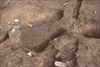 FileNo.215-396.jpg