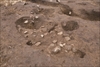 FileNo.215-400.jpg