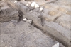FileNo.215-403.jpg