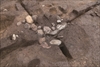 FileNo.215-405.jpg