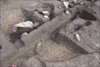 FileNo.215-411.jpg
