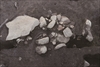 FileNo.215-412.jpg
