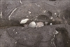 FileNo.215-414.jpg