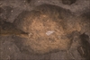 FileNo.215-415.jpg