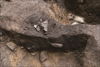 FileNo.215-416.jpg