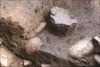 FileNo.215-417.jpg
