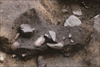 FileNo.215-418.jpg
