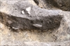 FileNo.215-419.jpg
