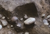 FileNo.215-420.jpg