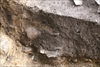 FileNo.215-421.jpg