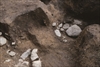 FileNo.215-422.jpg