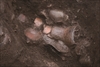 FileNo.215-424.jpg