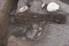 FileNo.215-427.jpg